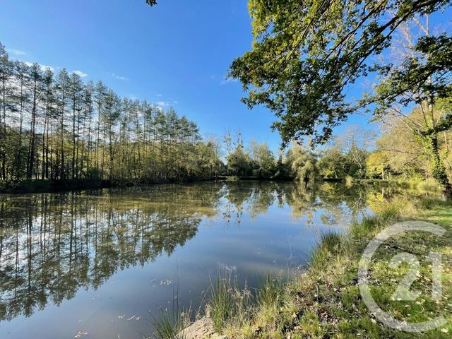 Terrain à vendre - 8740 m2 - Langon - 41 - CENTRE